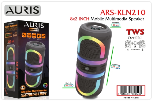 Auris KLN210 8X2 İnch Speaker