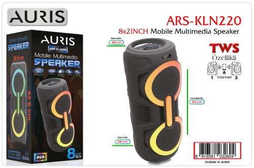 Auris KLN220 8X2 İnch Speaker