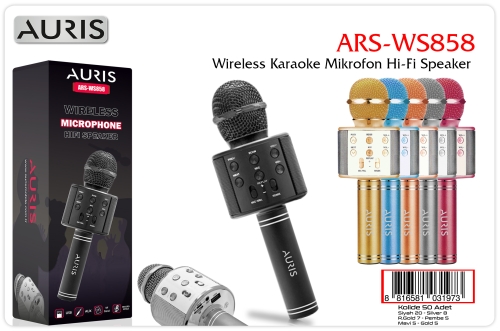 Auris WS858 Kareoke Mikrofon