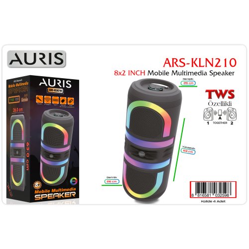 Auris KLN210 8X2 İnch Speaker