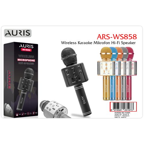 Auris WS858 Kareoke Mikrofon